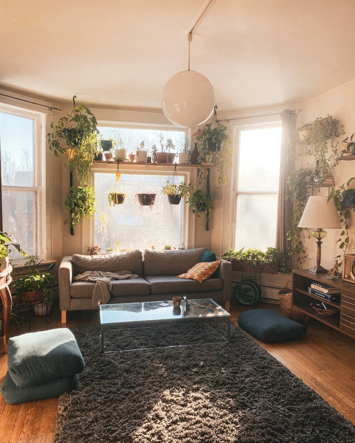 Sunlit living room with grey sofa and many green plants.